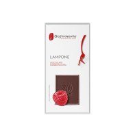 GASTRONAUTA TAV. FONDENTE 55% LAMPONE 100g