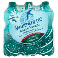 San Benedetto Acqua Minerale dal Parco della Majella Leggermente Frizzante 6 x 0,5 L
