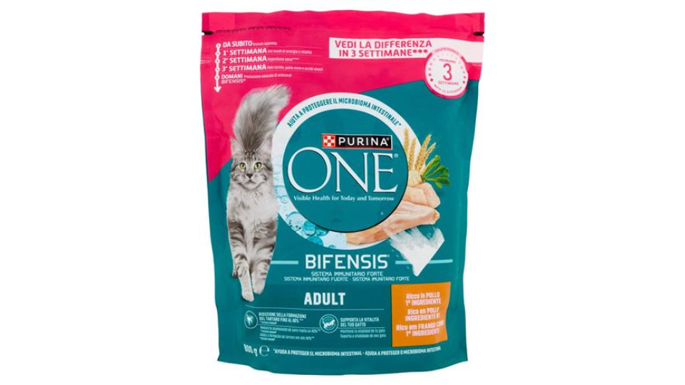 PURINA ONE Adult Ricco in Pollo 800 g