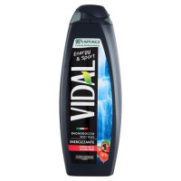 Vidal Energy & Sport Bagnodoccia Energizzante Ginseng e Guaranà 500 ml