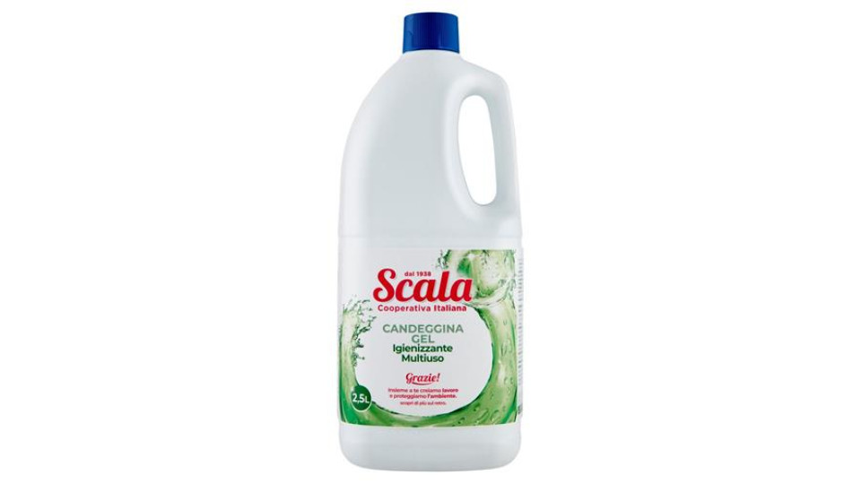 DECO CANDEGGINA GEL 2500ML