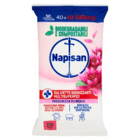 Napisan Salviette Disinfettanti Sgrassanti Limone Biodegradabili 40 pz