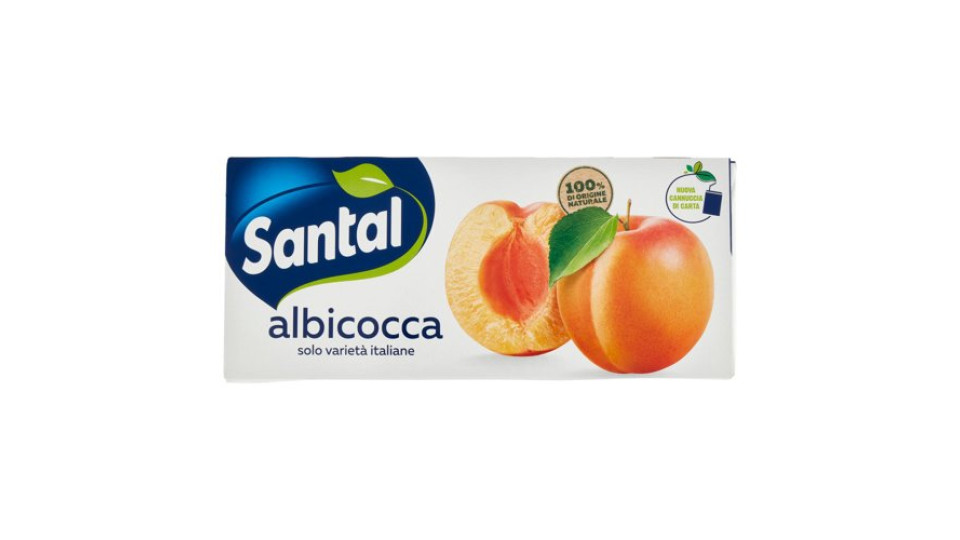Santàl Albicocca