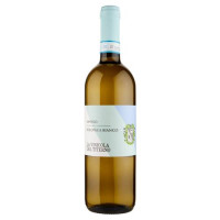 La Vinicola del Titerno Solopaca Sannio DOP Bianco