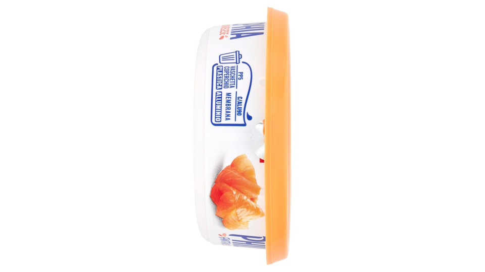 PHILADELPHIA FORMAGGIO FRESCO SPALMABILE CON SALMONE NORVEGESE