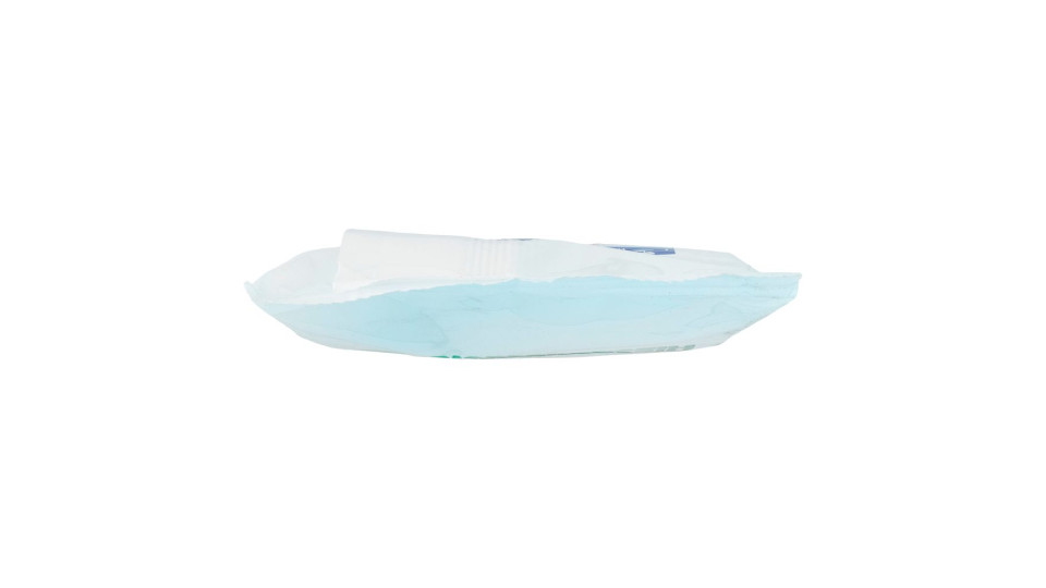 SALVIETTE DISINFETTANTI TOTAL PROTECTION CLASSIC BIODEGRADABILI 40 PZ