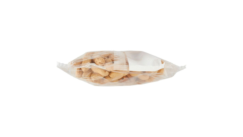 Arachidi in Guscio Tostate 750 g