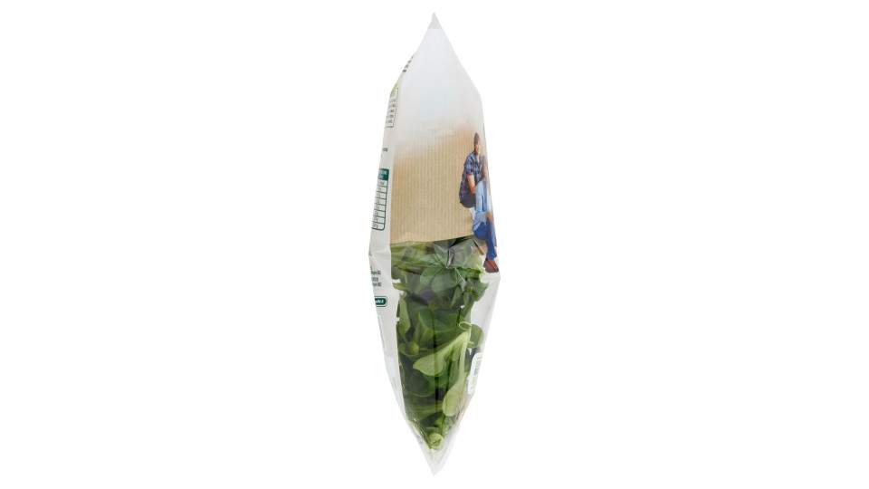Bonduelle Songino 80 g