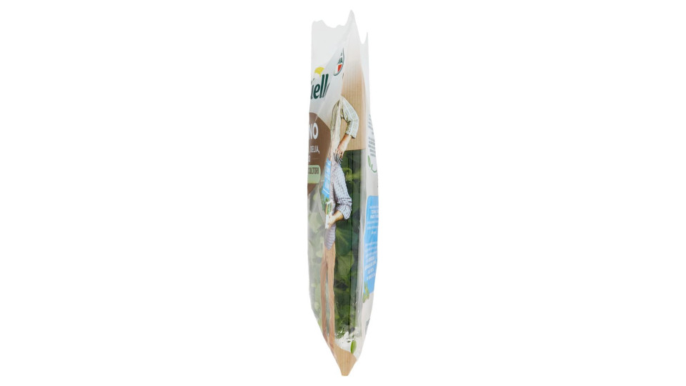 Bonduelle Songino 80 g