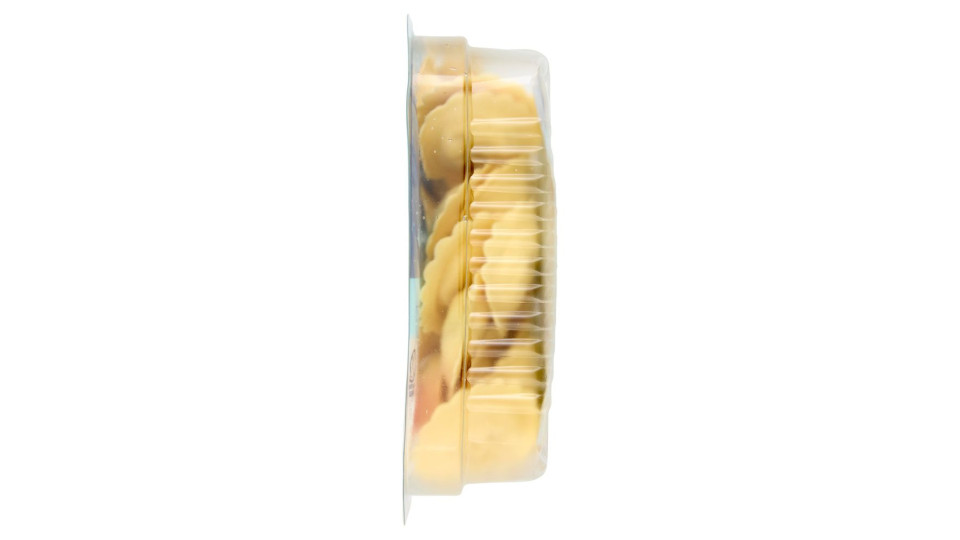 Fini Senza Lattosio Girasoli Robiola e Speck 250 g