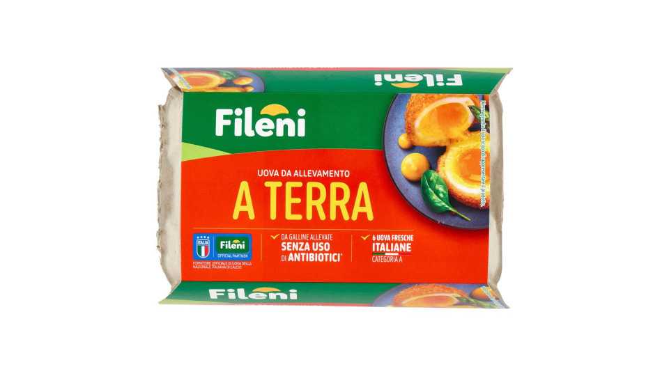 Fileni Uova da Allevamento a Terra 6 Uova Fresche 320 g