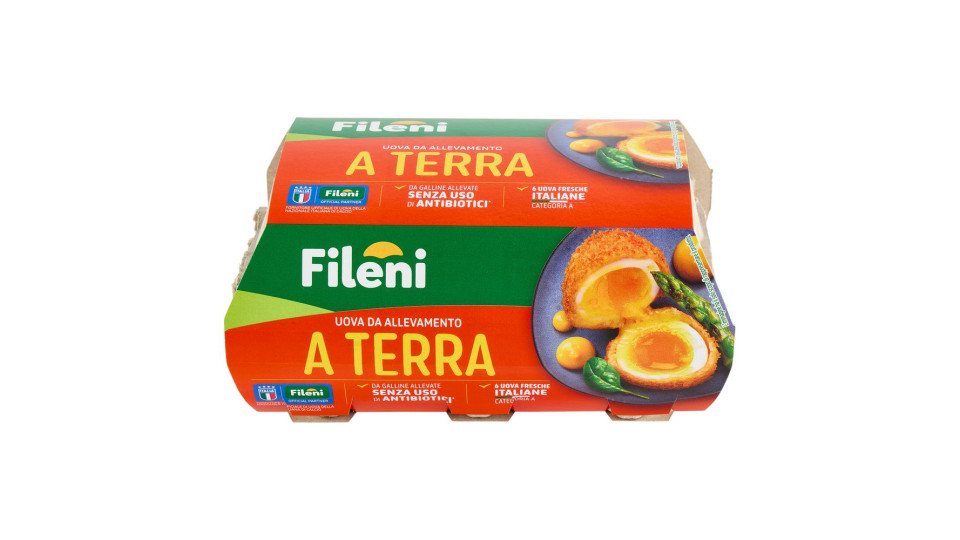 Fileni Uova da Allevamento a Terra 6 Uova Fresche 320 g