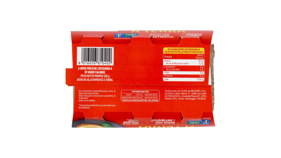 Fileni Uova da Allevamento a Terra 6 Uova Fresche 320 g