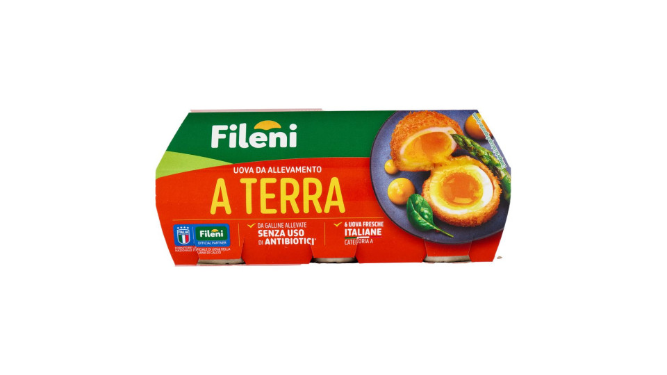 Fileni Uova da Allevamento a Terra 6 Uova Fresche 320 g