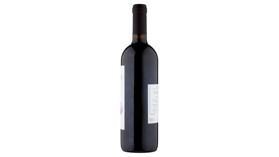 Cantina Valtidone viti&vini Colli Piacentini D.O.C. Bonarda Vino Frizzante 0,75 l