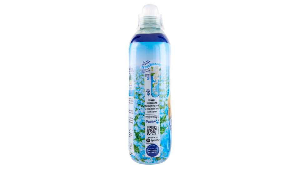 Coccolino Ammorbidente Concentrato Fresh Lavanda Mediterranea 87 Lavaggi 1827 ml