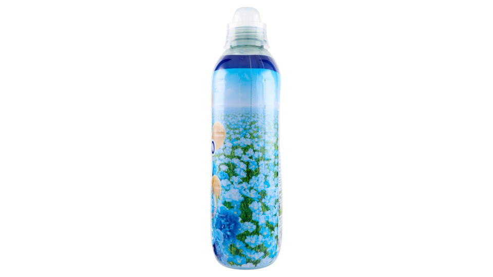 Coccolino Ammorbidente Concentrato Fresh Lavanda Mediterranea 87 Lavaggi 1827 ml