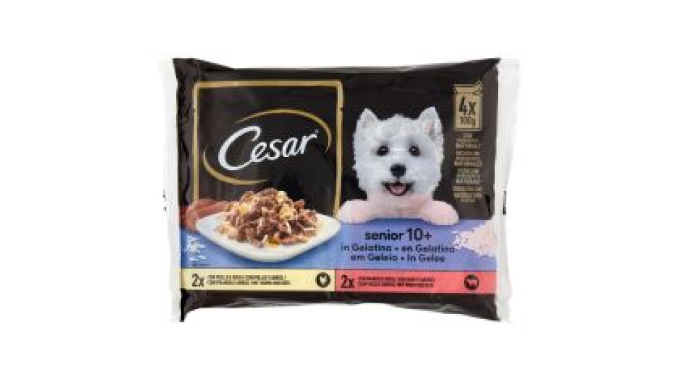 Cesar senior 10+ in Gelatina 4 x 100 g