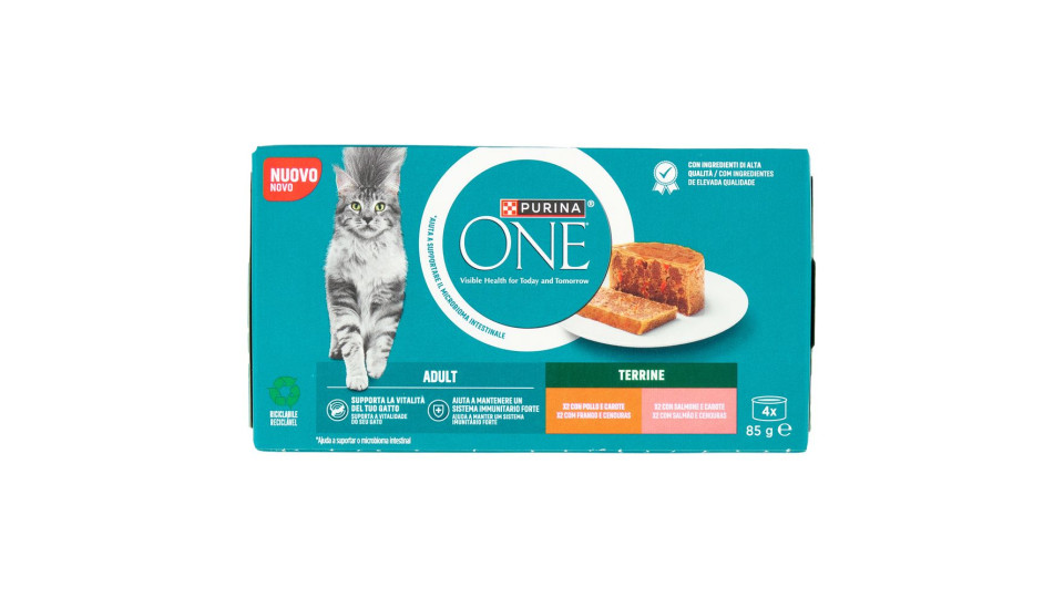 PURINA ONE Adult Terrine Pollo e Carote, Salmone e Carote 4 x 85g