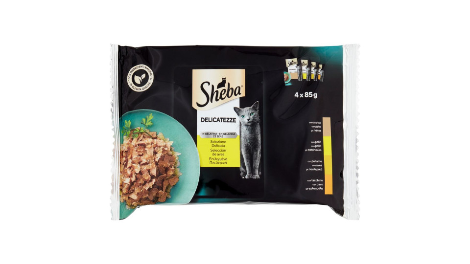 Sheba Delicatezze in gelatina cibo umido gatto Selezione Assortita 4x85g