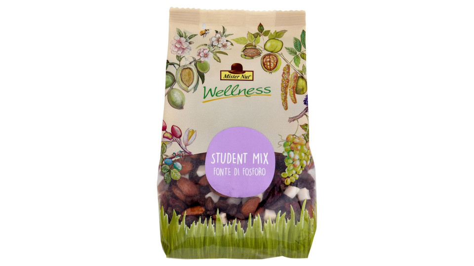 Mister Nut Wellness Student Mix 125 g