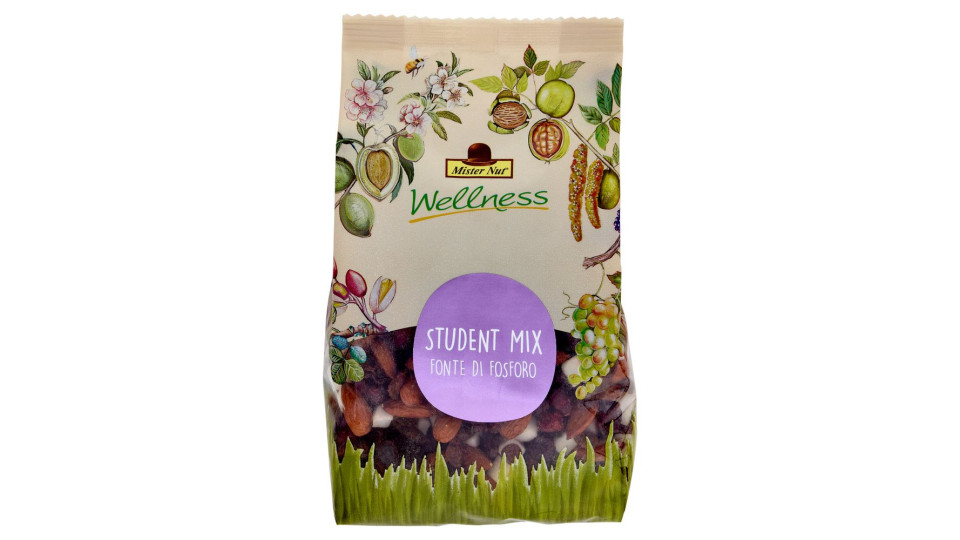 Mister Nut Wellness Student Mix 125 g