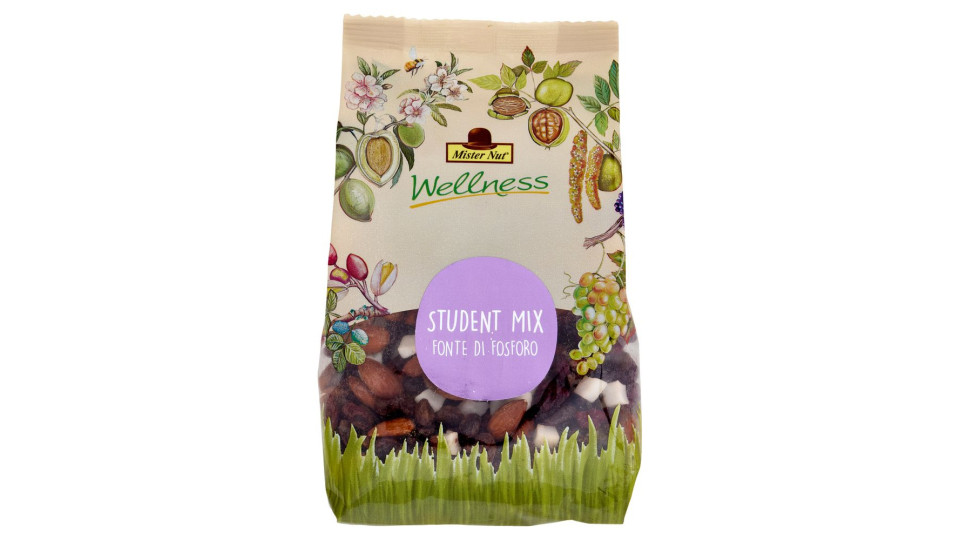 Mister Nut Wellness Student Mix 125 g