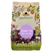 Mister Nut Wellness Student Mix 125 g