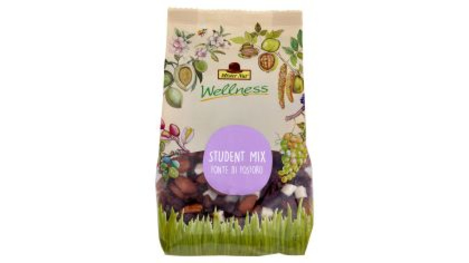 Mister Nut Wellness Student Mix 125 g