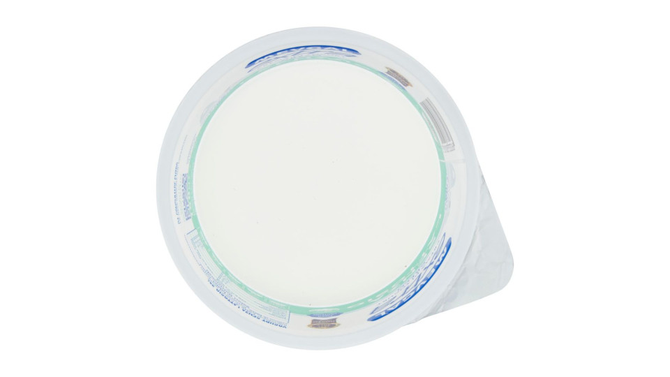 Mevgal extra Crema di Yogurt Greco Senza Lattosio 2% Grassi 150 g