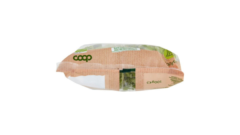 Insalatina Biologica 100 G