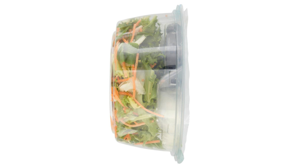 Insalata Mista Alla Greca 165 G