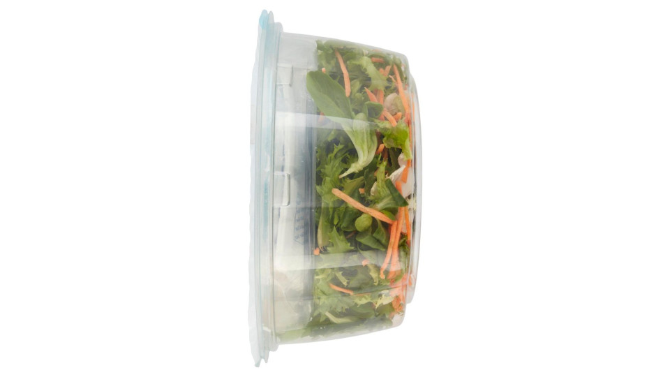 Insalata Mista Alla Greca 165 G
