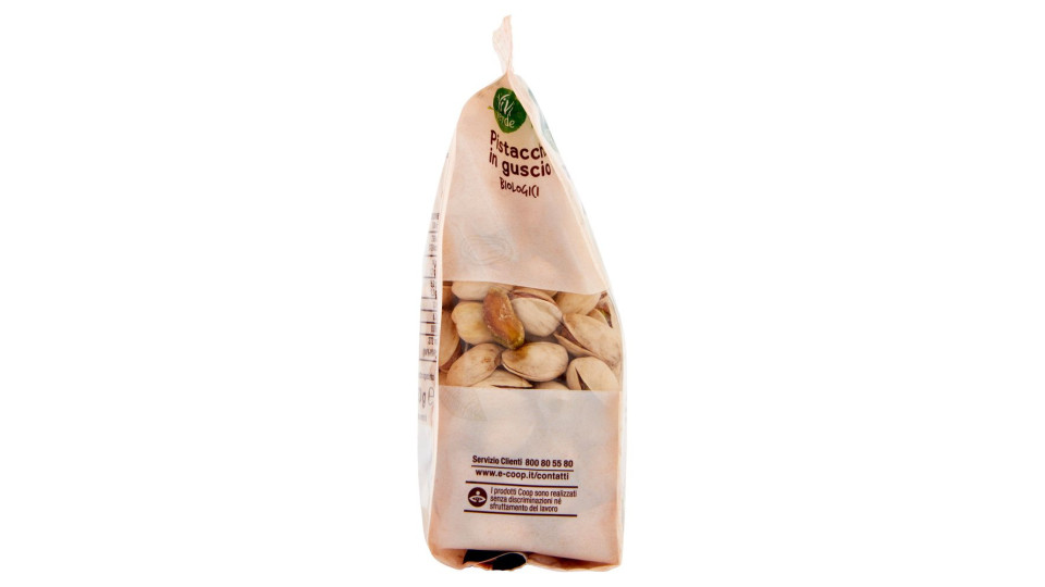 Pistacchi In Guscio Biologici Leggermente Salati 150 G