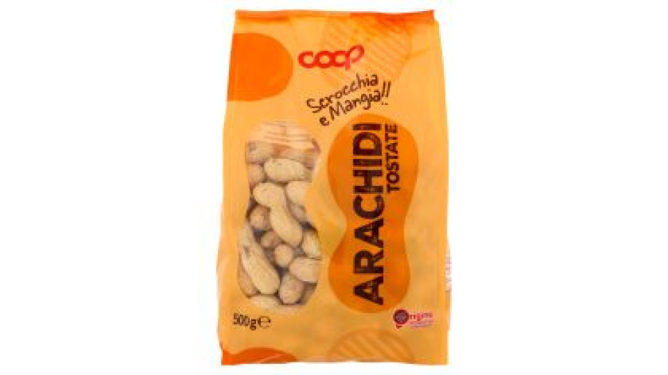 Arachidi Tostate ''origine'' 500 G