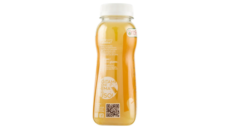 Ortoromi Estratto Di Zenzero Mela 250 Ml