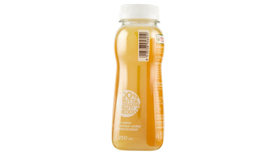 Ortoromi Estratto Di Zenzero Mela 250 Ml
