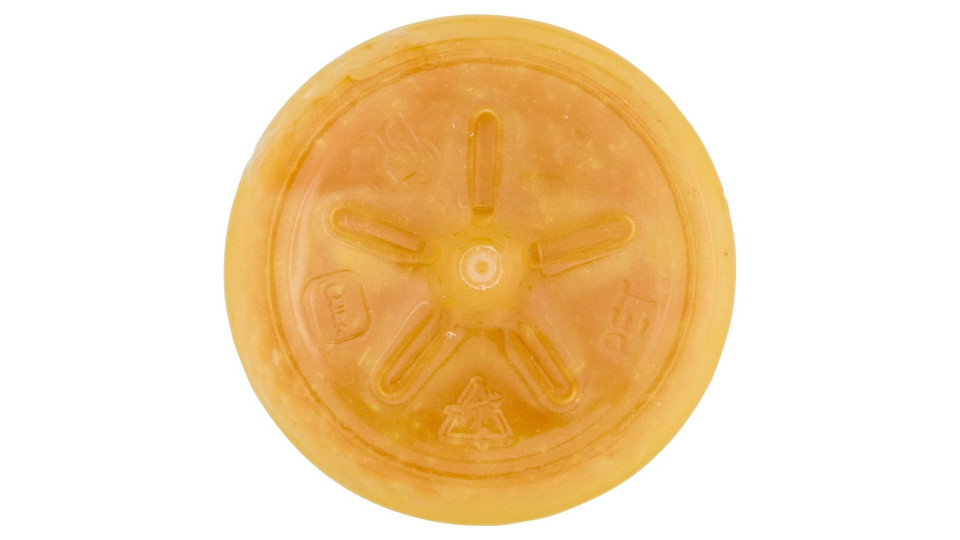 Dimmidisì Frullato Fresco Arancia E Carota 250 Ml