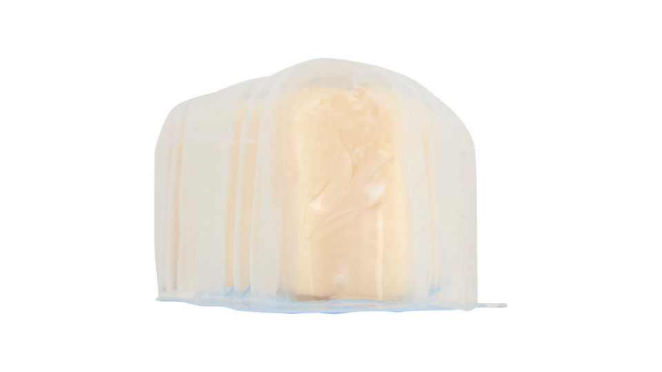 Parmigiano Reggiano Dop Stagionatura Oltre 24 Mesi 0,300 Kg