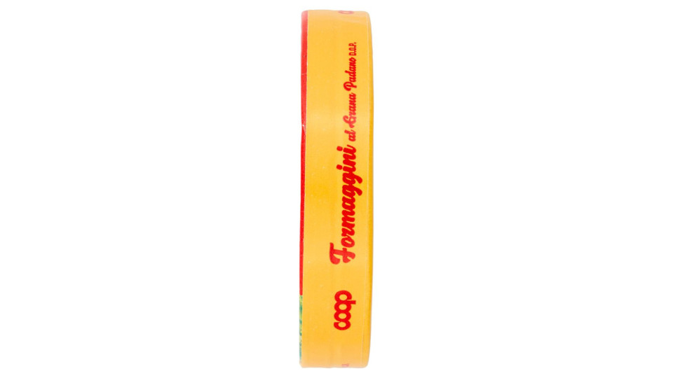 Formaggini Al Grana Padano D.o.p. 8 X 17,5 G