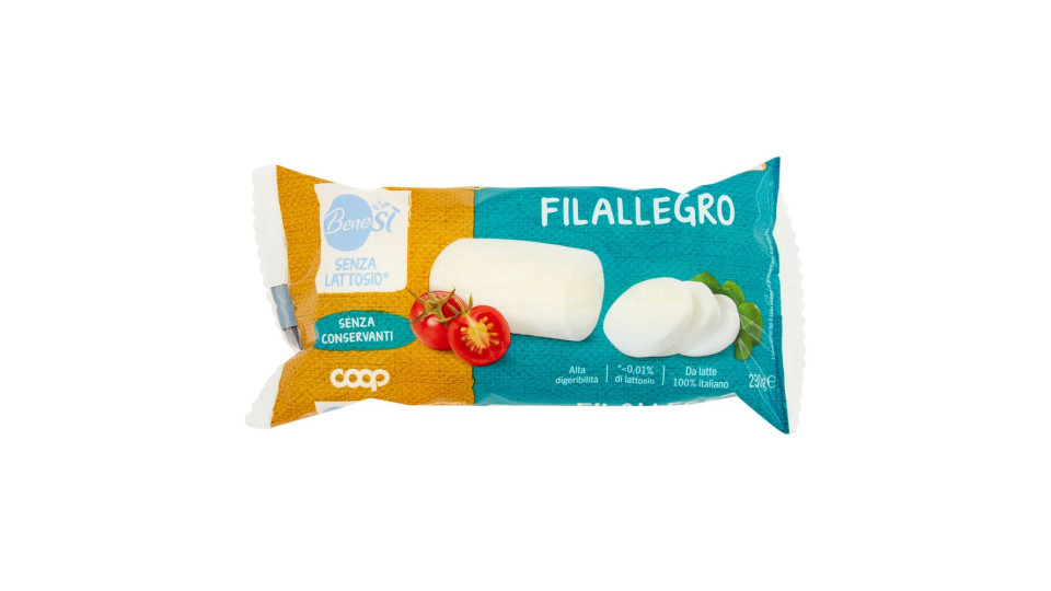 Formaggio Filallegro Senza Lattosio* 230 G