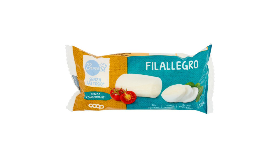 Formaggio Filallegro Senza Lattosio* 230 G