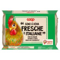 6 Uova Fresche E Italiane