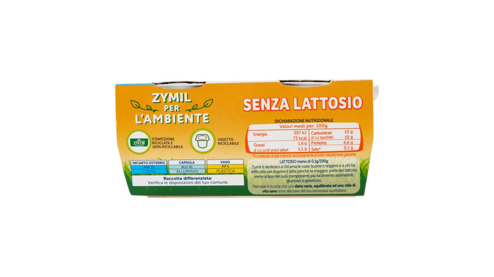 Zymil Alta Digeribilità Senza Lattosio Yogurt Bianco 2 X 125 G