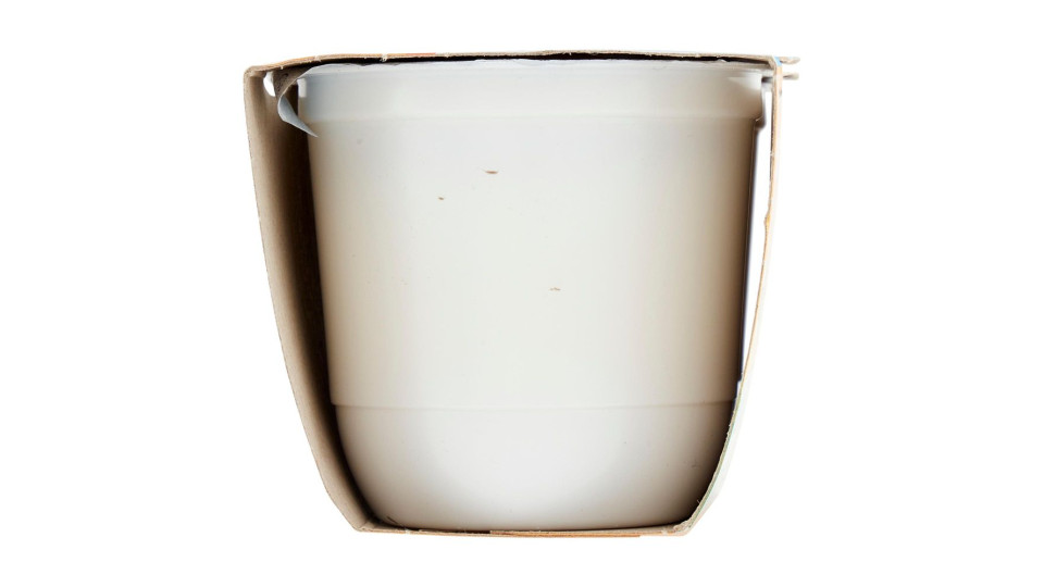 Zymil Alta Digeribilità Senza Lattosio Yogurt Bianco 2 X 125 G