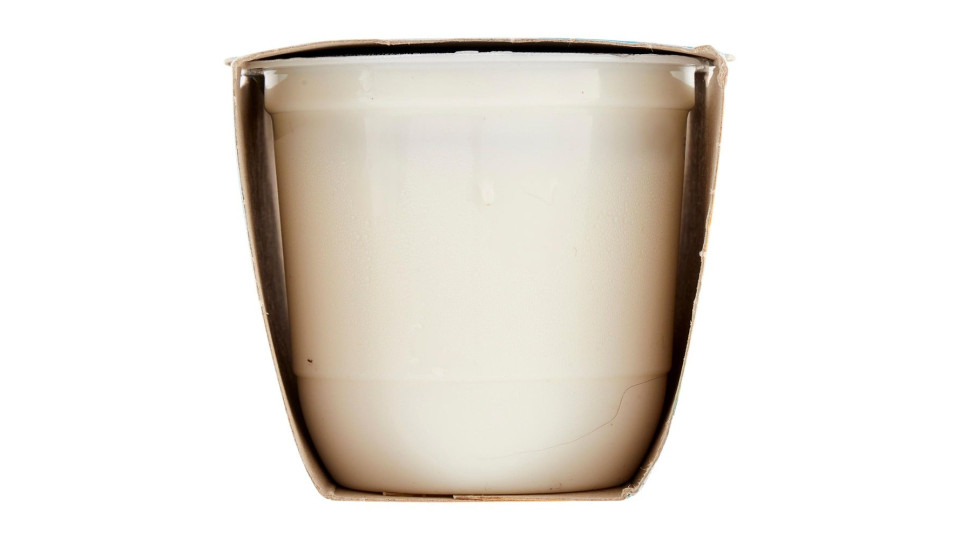 Zymil Alta Digeribilità Senza Lattosio Yogurt Alla Vaniglia 2 X 125 G