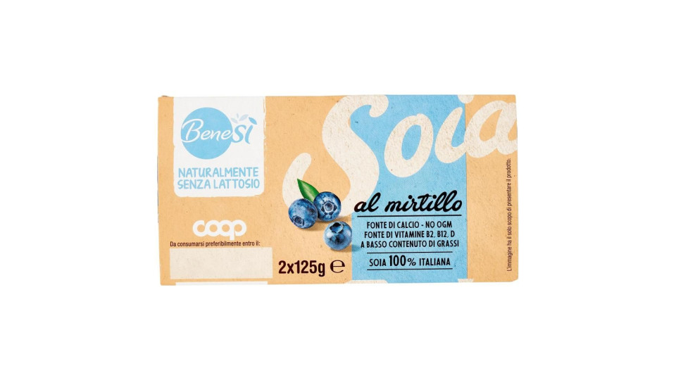 Naturalmente Senza Lattosio Soia Al Mirtillo 2 X 125 G