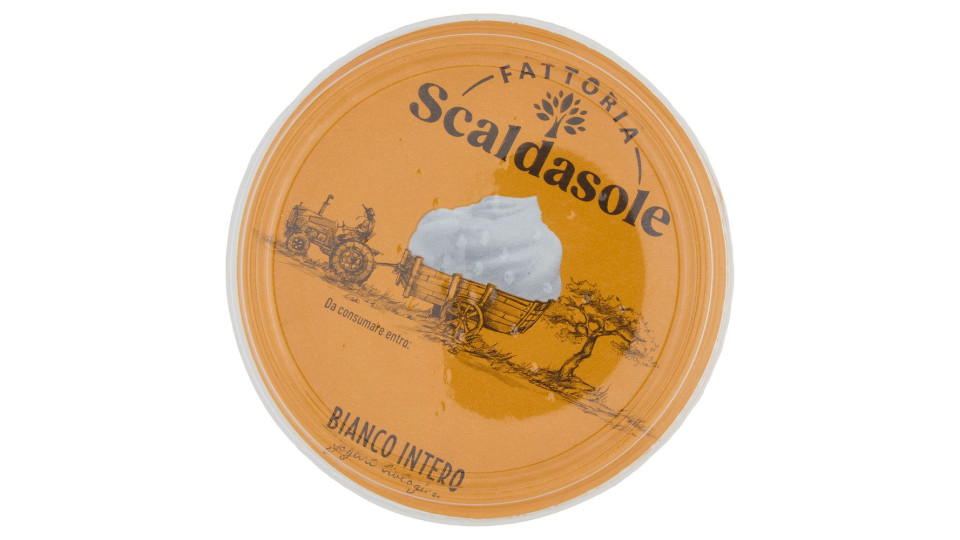 Fattoria Scaldasole Bianco Intero Yogurt Biologico 500 G
