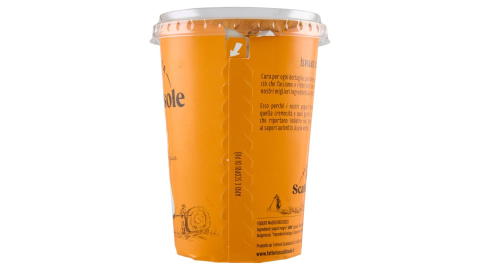 Fattoria Scaldasole Bianco Magro Yogurt Biologico 500 G