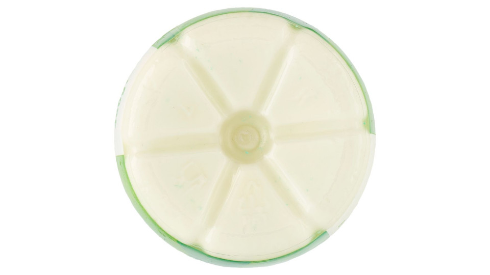 Milk Kefir Bianco Naturale 480 G